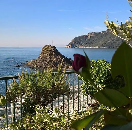 Asseu Sestri Levante